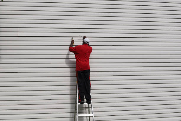 Best Steel Siding Installation  in , SD
